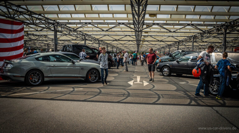 Grauer Mustang unter dem Hallendach